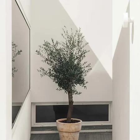 Casa Da Fe By Boutique Algarve Design Lagoa (Algarve)