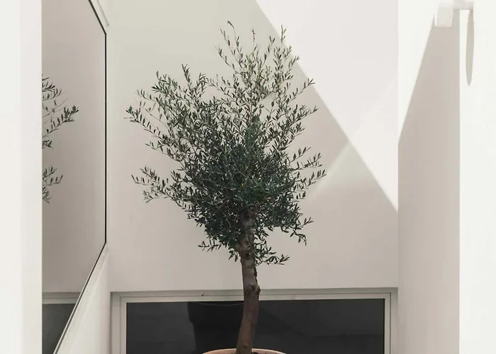 Casa Da Fe By Boutique Algarve Design Lagoa (Algarve)
